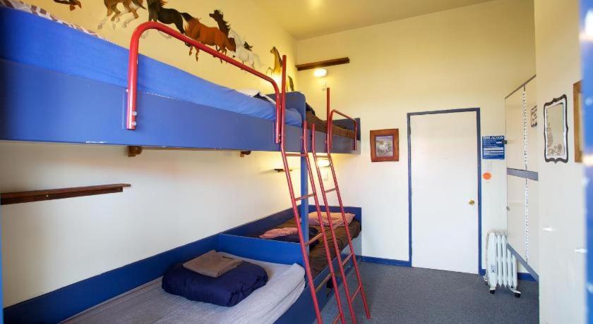 Stables Lodge Backpackers Napier Exterior photo