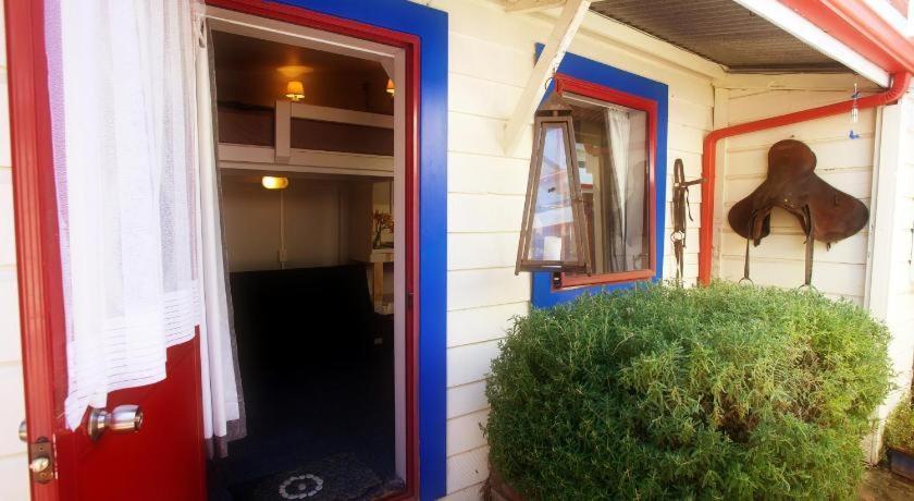 Stables Lodge Backpackers Napier Exterior photo