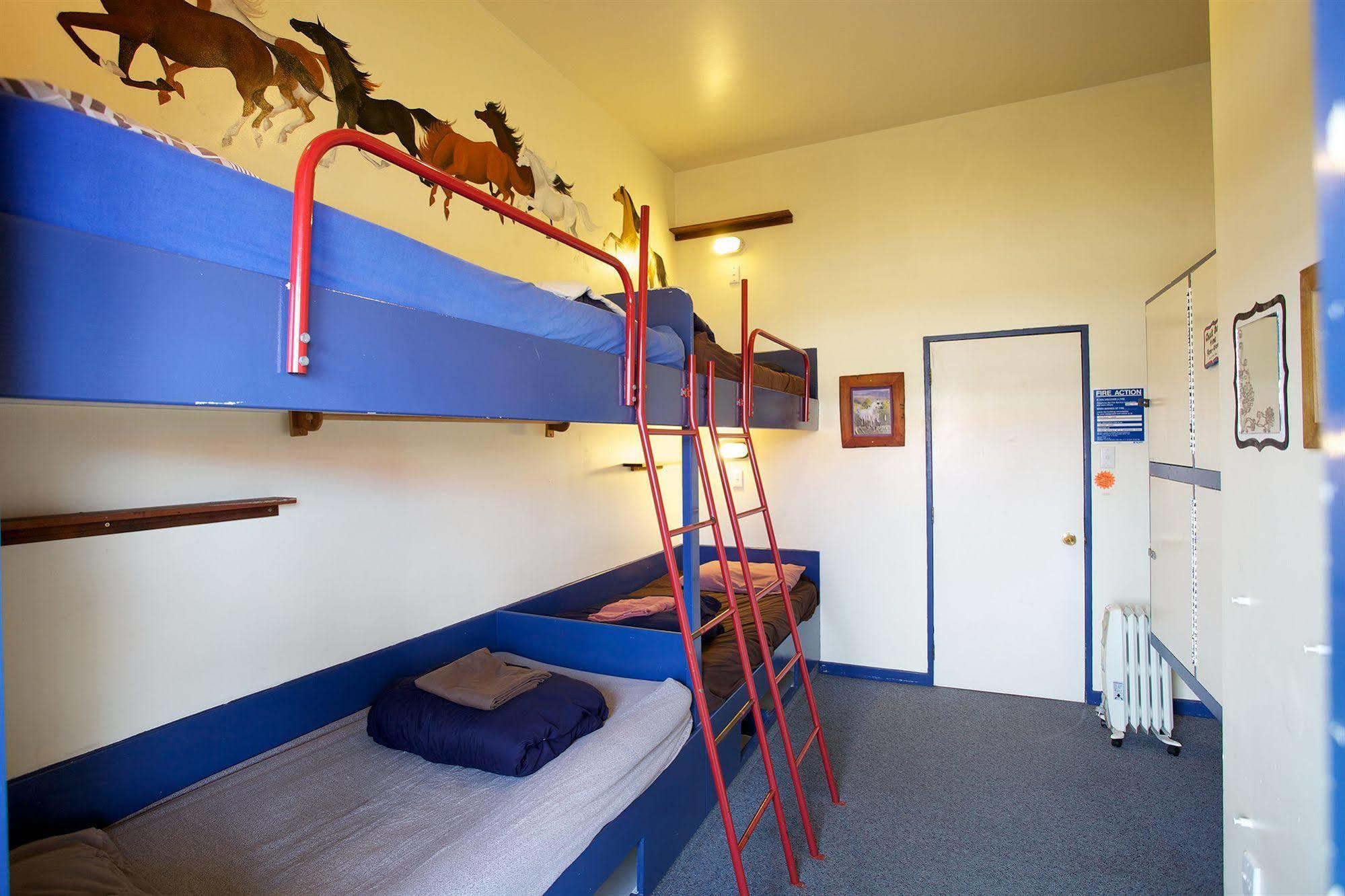 Stables Lodge Backpackers Napier Exterior photo